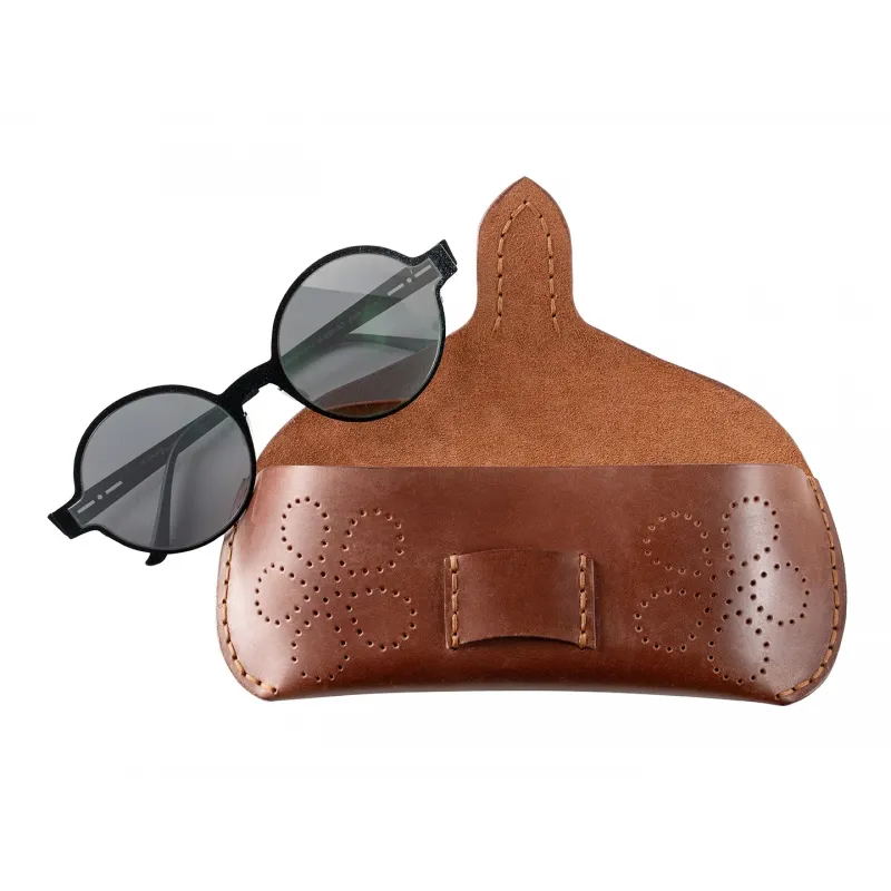 BeaverCraft Glasses Case Set Leather Crafting Kit Cyclaire Knives and Tools