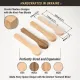 BeaverCraft Pack of 4 Wood Carving Spoon Blanks - Alder, Walnut, Elm, Maple Cyclaire Knives and Tools
